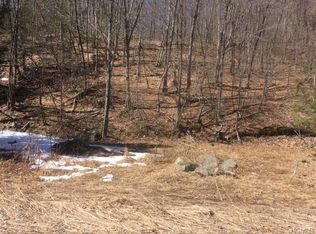 Grooville Rd, Livingston Manor, NY 12758