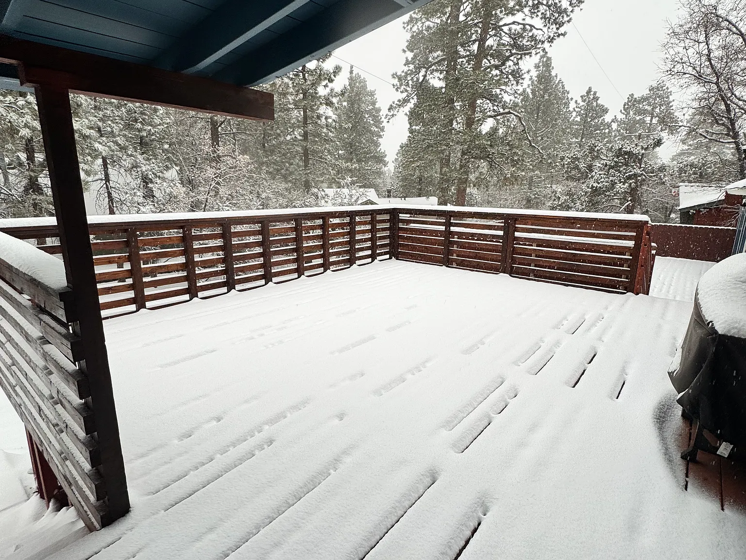 3 bed, 1.5 bath, 984 sqft, $2,200 — Photo 4