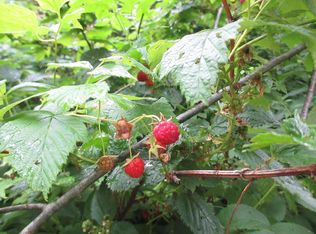 Smith Dr, Readsboro, VT 05350