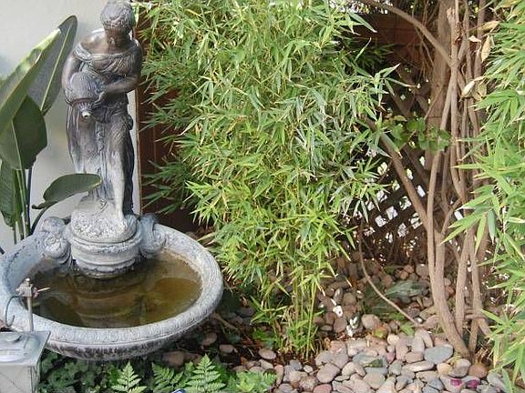Front fountain