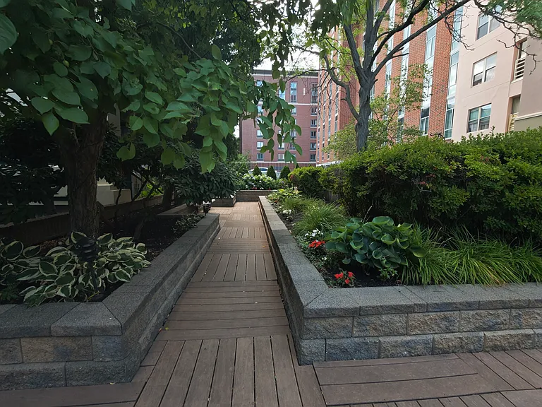 25 Marion St #44 — Photo 17