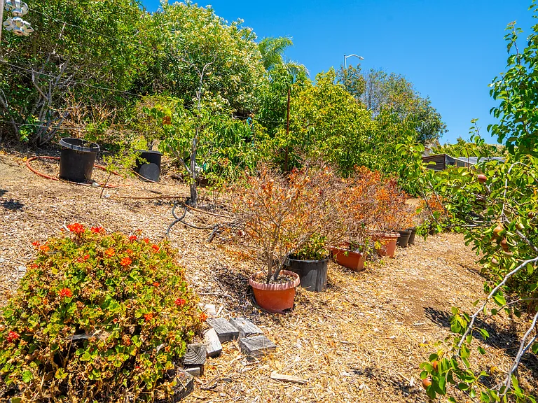6295 Pebble Beach Dr — Photo 33