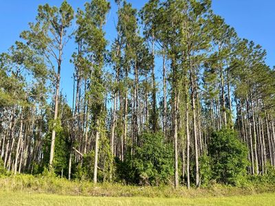 0 NW 50th Pl, Jennings, FL, 32053