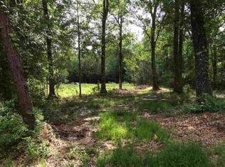 45 Susan Ln, Lumberton, TX 77657