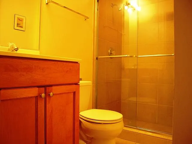 2451 W Harrison St #2 — Photo 3