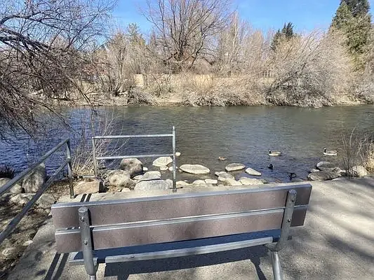 Crissie Cauglhin Park, on the bank of the Truckee River.