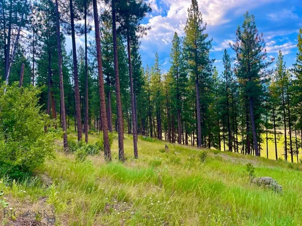 Nhn Tract Railroad Ave #3, Alberton, MT 59820