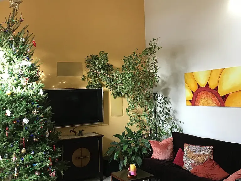 318 Dunne Dr — Photo 5
