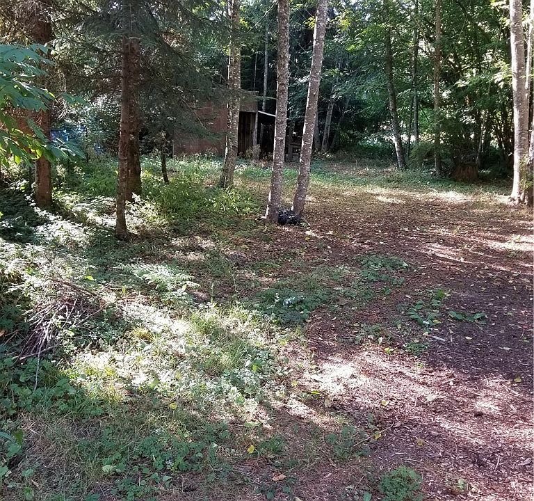 2nd image of 55210 313th Ave E