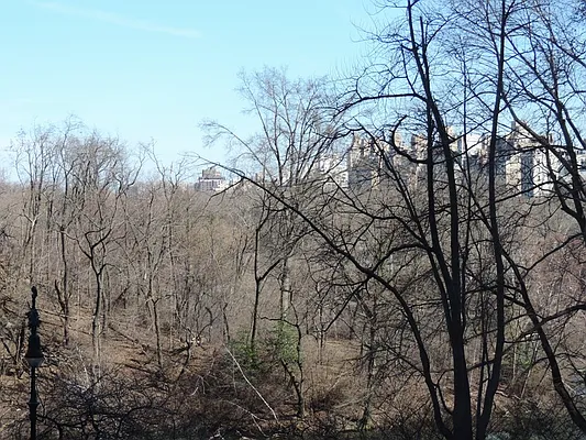 Rented by essential NEW YORK Real Estate | media 24