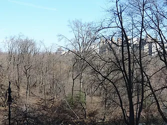 Rented by essential NEW YORK Real Estate