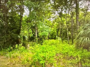 1748 S Sioux Rd, Homosassa, FL 34448