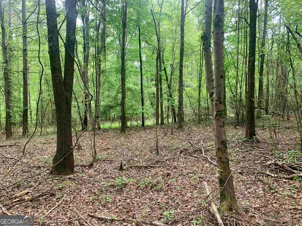 0 Holland Rd, Bowdon, GA 30108