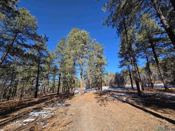 1 La Espuela Dr, Chama, NM 87520