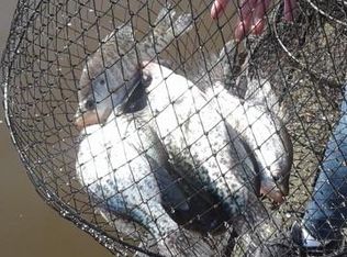 0 Old 70 E, Camden, TN 38320