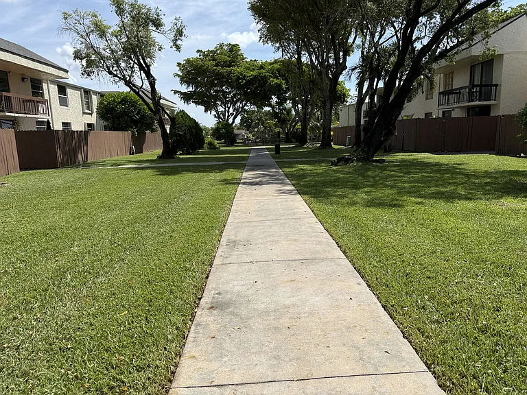 Green yard and trail