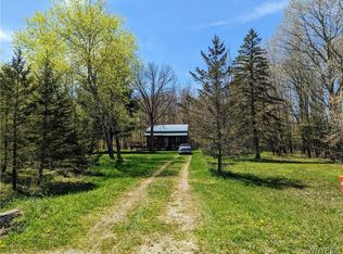 10955 New Rd, Dalton, NY 14836