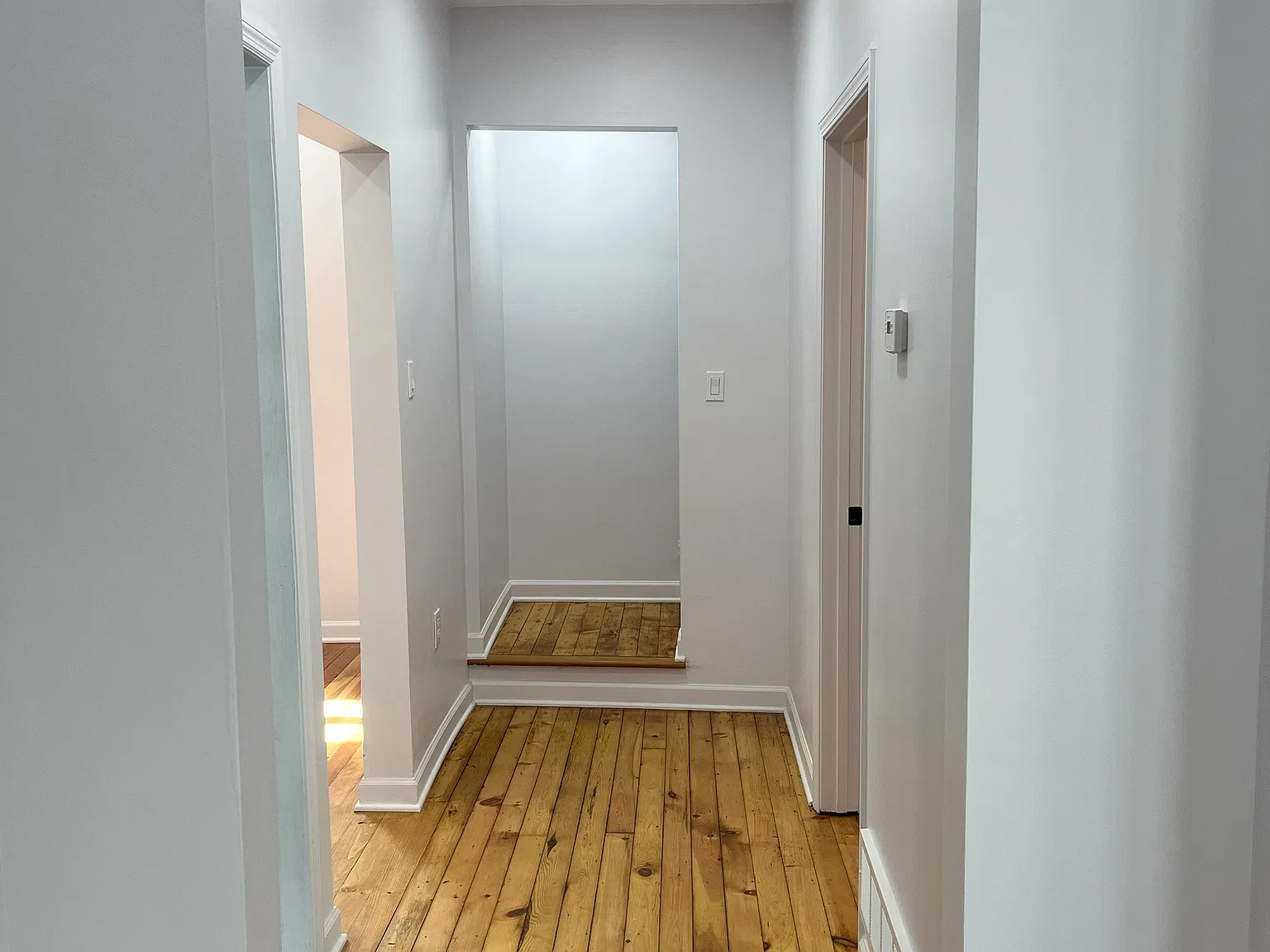 2 bed, 1256 sqft, $1,350 — Photo 3