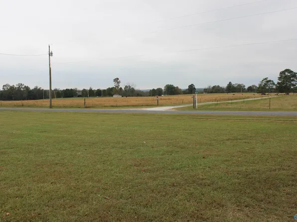 150 5th St N, Sylvania, AL 35988