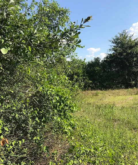 Manuel Rd — Photo 25