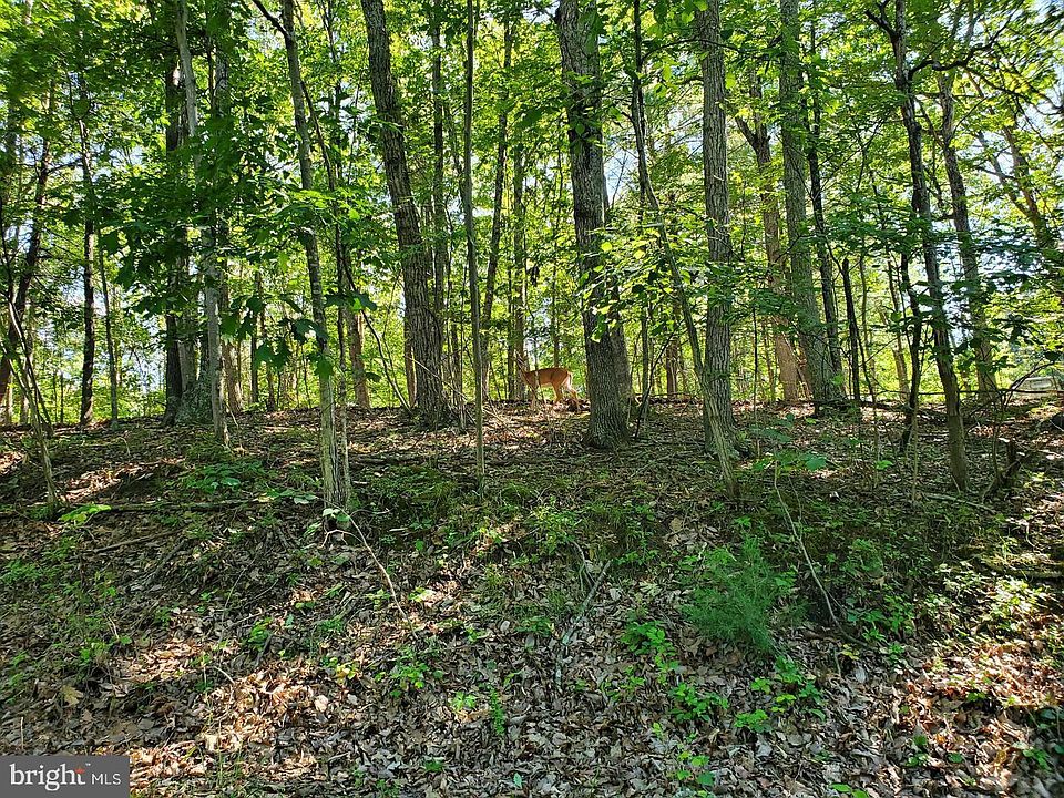 LOT 13 Liza Kates Ln, Winchester, VA 22603 | MLS #VAFV2003612 | Zillow