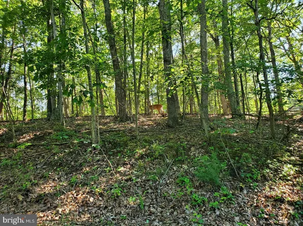 LOT 13 Liza Kates Ln, Winchester, VA 22603