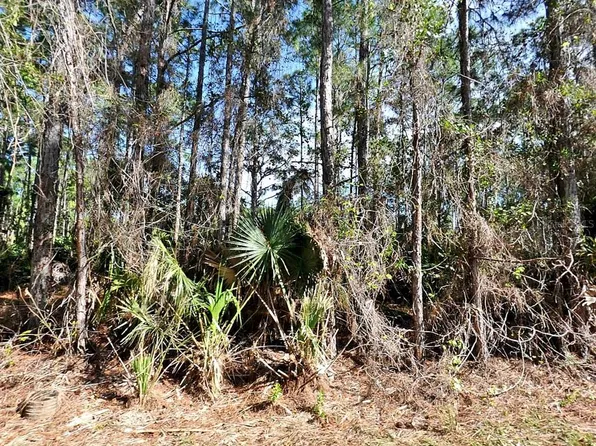 Nagengast St Lot 6, North Pt, FL 34288