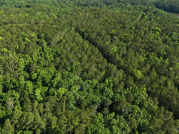 0 Cooter Creek Rd, Elberton, GA 30635