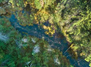 16308 Gooseberry Dr, Wolverine, MI 49799