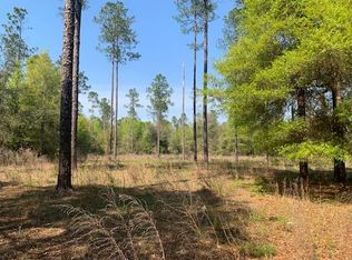 Dig Ct, Fort White, FL 32038