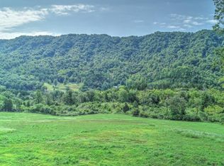 2305 Clinch Mountain Rd, Eidson, TN 37731