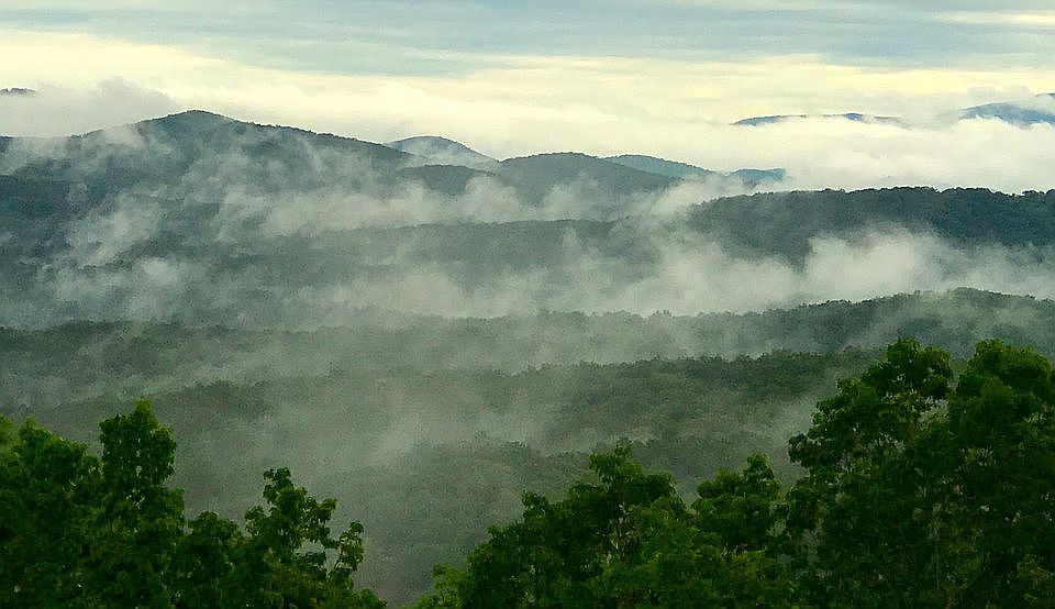 from the back porch and deck
