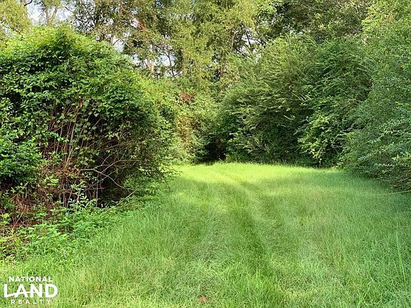 Road Connecting Hay Fields