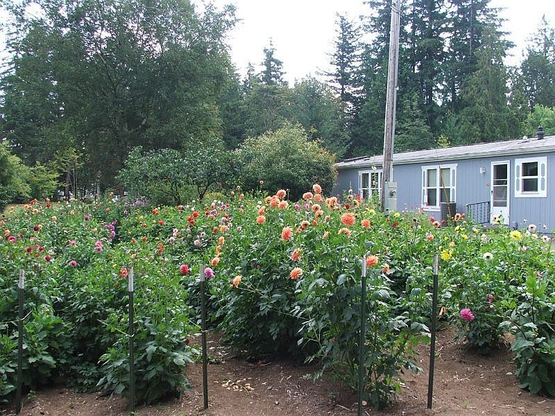 2nd image of 5650 Judy Way