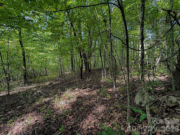 3rd image of 99999 High Top Mountain Rd Lot 2