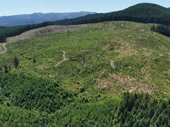 W Brush Creek Rd, Marcola, OR 97454