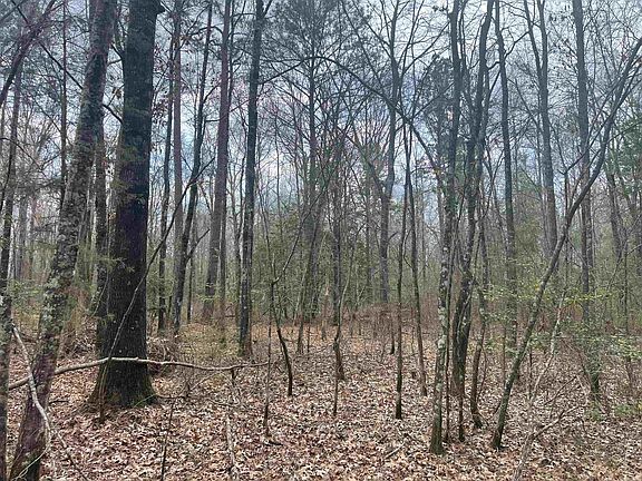 3rd image of Silliman Calhoun 14 Rd