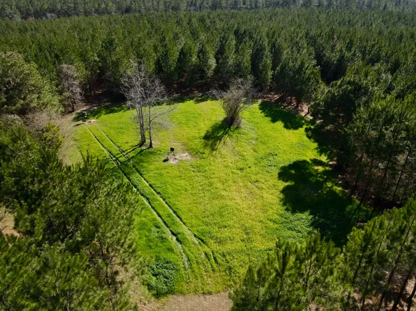 0 Pineapple Hwy, Greenville, AL 36037