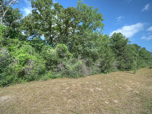 5th image of 10151 Woodview Dr