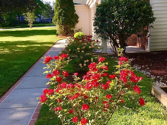 Lovely Sidewalk Plantings