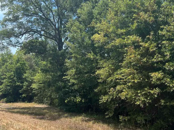 Tbd Fm 3042, Pittsburg, TX 75686