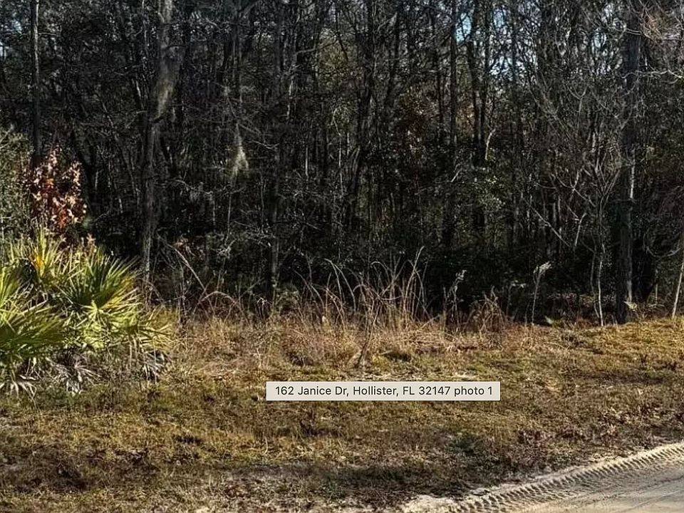 1st image of 162 JANICE Drive