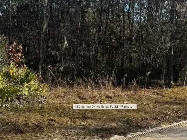 162 JANICE Drive, Hollister, FL 32147