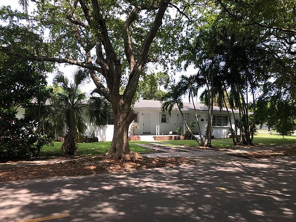 beautiful shade trees