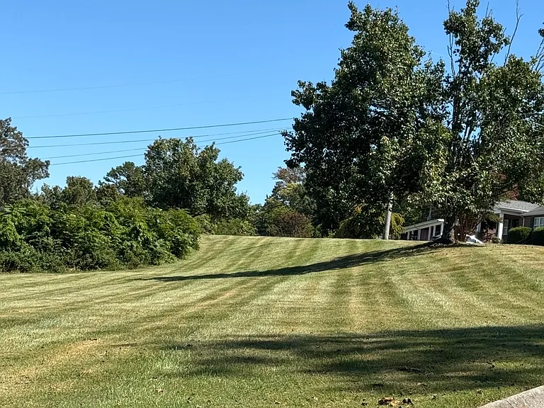 134 Hackberry Way — Photo 4