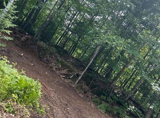 McClure Dam Rd, Negaunee, MI 49866