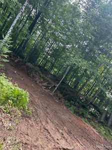 McClure Dam Rd, Negaunee, MI, 49866