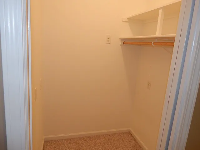 201 Red Cardinal Rd — Photo 12