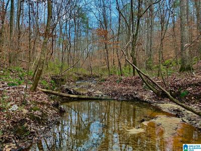 1862 Signal Valley Trl #A, Chelsea, AL, 35043