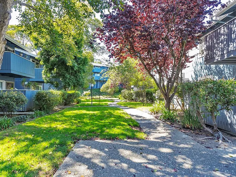 415 Piccadilly Pl #3 — Photo 21